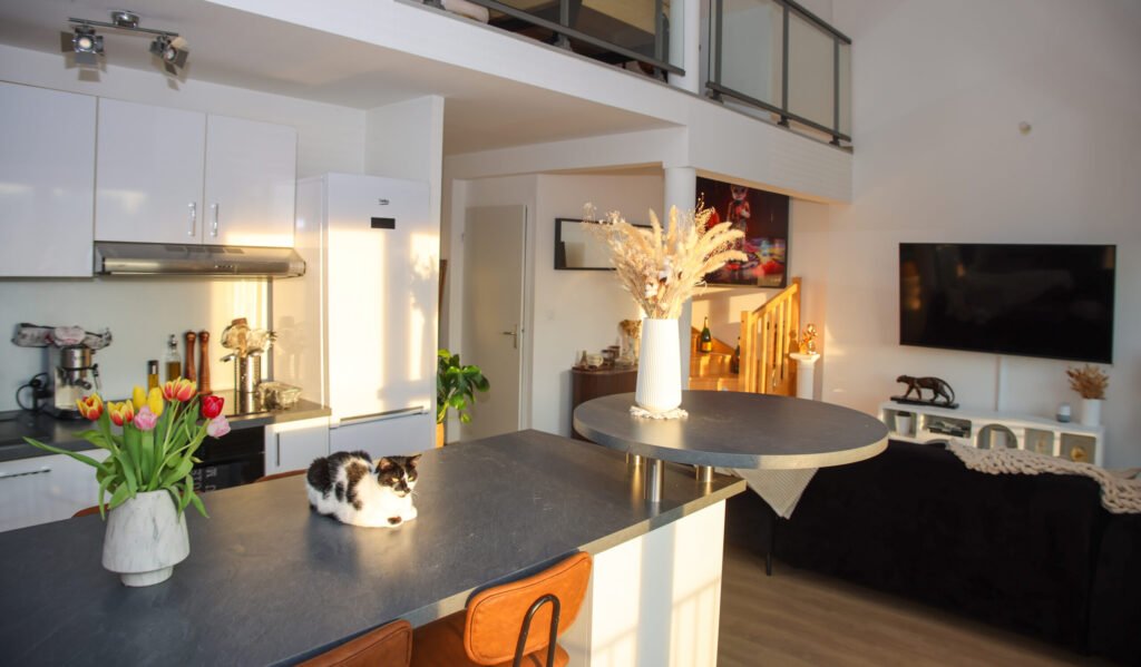 Vue de la cuisine et du salon dans une location gérée par la conciergerie Iviloc à Reims